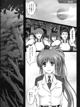 (C90) [サイクロン (和泉、れいぜい)] 1005NANO サイクロンの総集編 (魔法少女リリカルなのは)_009