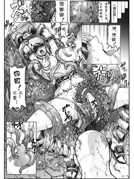 [Wolkenkratzer(梵天鴉)] Decadence Soul 1(ソウルキャリバー)_Page_11