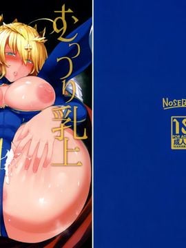 (C92) [NOSEBLEED (宮元一佐)] むっつり乳上とろとろ交尾 (Fate Grand Order) [中国翻訳]