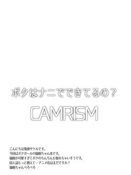 (C89) [カムリズム (鬼頭サケル)] ボクはナニでできてるの？_04